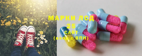 гидра Белоозёрский
