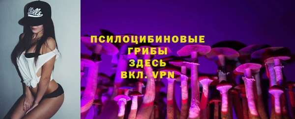 амфетамин Белокуриха