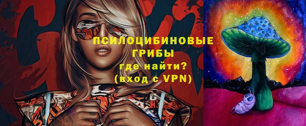 гидра Белоозёрский