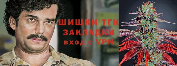 гидра Белоозёрский